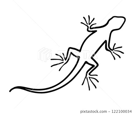 Lizard line drawing illustration, cut out on transparent background Lizard line drawing illustration, cut out on transparent background 122100034