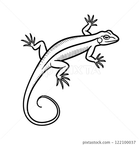 透明背景上的蜥蜴線畫圖解 122100037