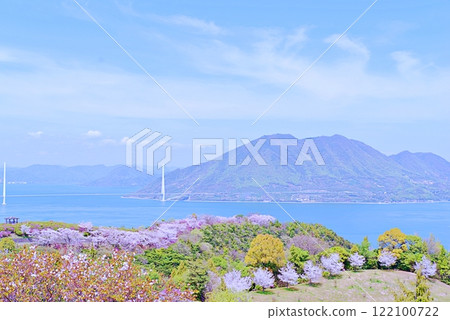 島波櫻花 島波櫻花 122100722