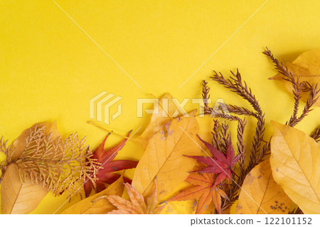 Autumn leaves on a yellow background 122101152