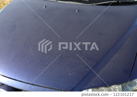 Car dirt 122101217