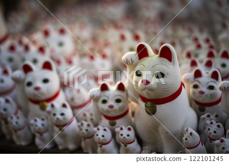 Gotokuji lucky cat 122101245