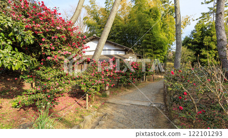 Sankeien Garden, a scenic spot in Yokohama City - Winter at Sankeien Garden 122101293