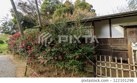 冬天的橫濱市風景名勝三溪園 冬天的橫濱市風景名勝三溪園 122101296
