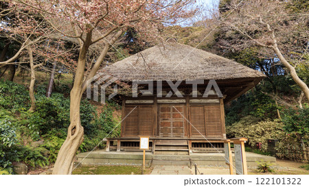 Sankeien Garden, a scenic spot in Yokohama City - Winter at Sankeien Garden 122101322