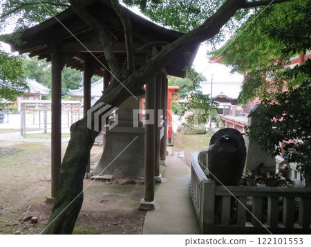 2014年，香川，高松，屋島，風景，寺廟，屋島寺，第40部分 122101553
