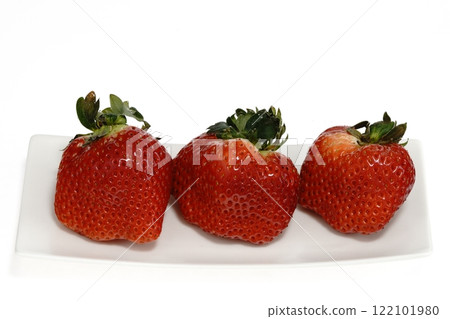 Delicious strawberries Mino Musume from Gifu Prefecture 122101980