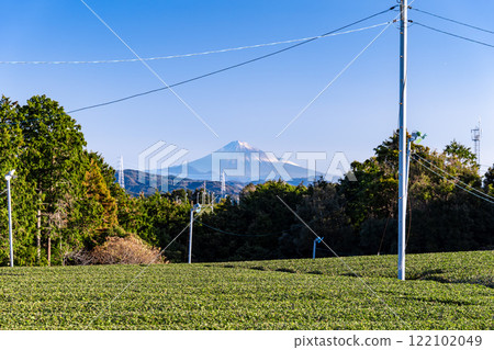 View of tea fields and Mt. Fuji from Shimada City, Shizuoka Prefecture View of tea fields and Mt. Fuji from Shimada City, Shizuoka Prefecture 122102049