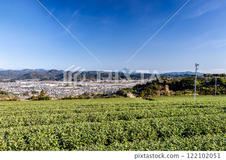 從靜岡縣島田市看到的茶田和富士山 從靜岡縣島田市看到的茶田和富士山 122102051
