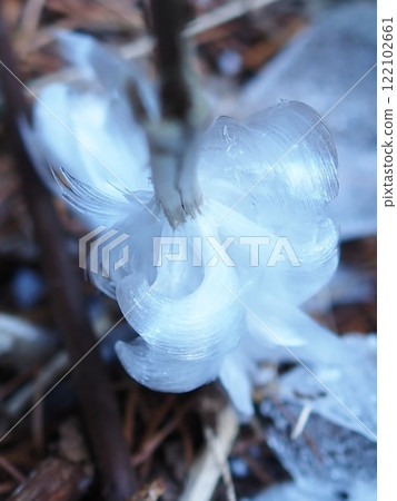 從上方看的冰花(202412180900) 從上方看的冰花(202412180900) 122102661