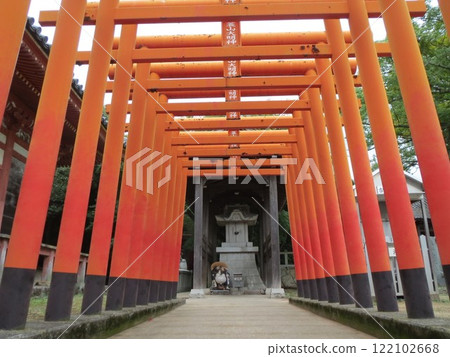 2014年・高松・屋島・風景・寺廟・屋島寺・第50部 122102668