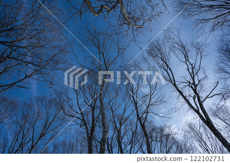 Ski resort slope scenery Hakuba Iwatake Snow Field Ski resort slope scenery Hakuba Iwatake Snow Field 122102731
