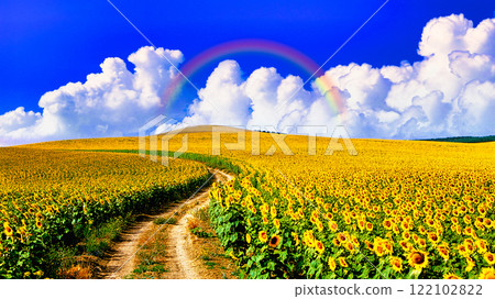 Beautiful sunflower fields in Andalusia, Spain Beautiful sunflower fields in Andalusia, Spain 122102822
