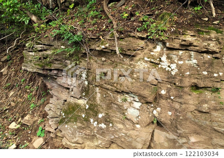 Shiore Formation - Teppei Stone 122103034