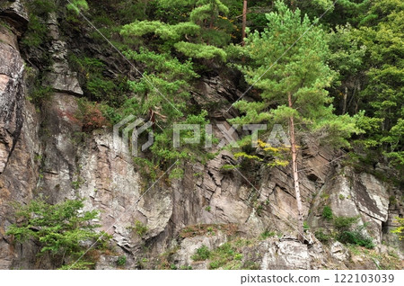 鹽峰組鐵平石 122103039