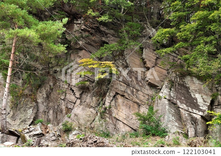 鹽峰組鐵平石 122103041