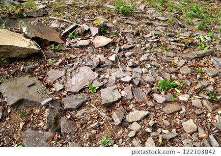 鹽峰組鐵平石 122103042