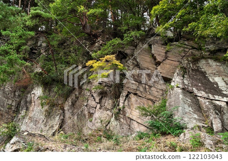 鹽峰組鐵平石 鹽峰組鐵平石 122103043