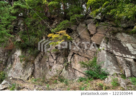 鹽峰組鐵平石 122103044