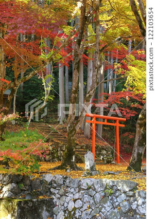 Autumn leaves of Sokoji Temple 122103654