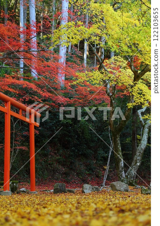 Sokoji寺廟秋葉 Sokoji寺廟秋葉 122103655