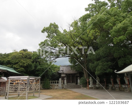 2014, Takamatsu, Yashima, scenery, temple, Yashima Temple, No. 57 122103687