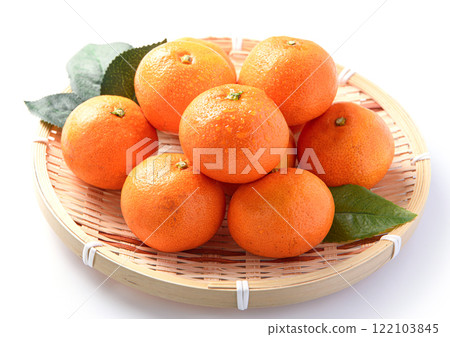 橘子（白色背景） 122103845