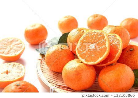 Mandarin oranges (white background) 122103860