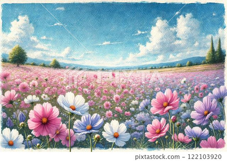 Cosmos field Cosmos field 122103920