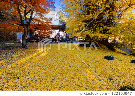 埼玉縣東松山市岩殿，觀音堂前的岩殿山正法寺，落葉泛黃，楓樹紅紅。 122103947