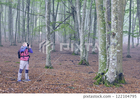 Photographer Capturing the Beauty of a Misty Beech Forest 122104795