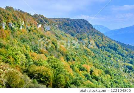 Lush green hillside with autumn foliage in the mountains 122104800