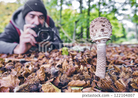 Photographer Capturing a Macrolepiota Procera parasol Mushroom in a Beech Forest Photographer Capturing a Macrolepiota Procera parasol Mushroom in a Beech Forest 122104807