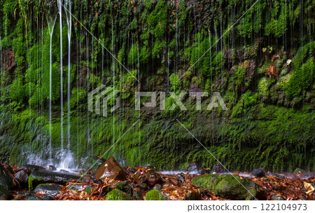 南阿甦的苔蘚瀑布 122104973