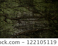 用青苔和常春藤蓋的混凝土牆 122105119