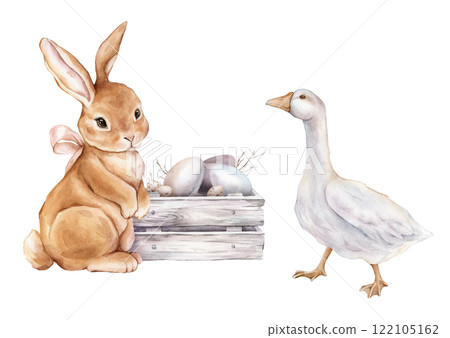 Cute watercolor illustration wooden box with chicken and quail eggs and willow branches and Easter bunny or hare with bow and and goose. Hand drawn illustration isolated on background for card 122105162