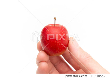 alps maiden apple alps maiden apple 122105520