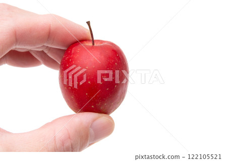 alps maiden apple alps maiden apple 122105521