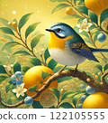 Birds on a kumquat tree 122105555