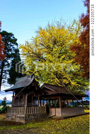 鶴之神社和銀杏“鶴之神社” 鶴之神社和銀杏“鶴之神社” 122105718