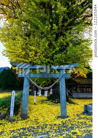 鶴之神社和銀杏“鶴之神社” 鶴之神社和銀杏“鶴之神社” 122105844