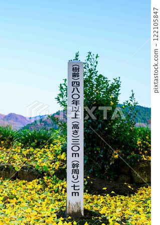 鶴之神社和銀杏“鶴之神社” 鶴之神社和銀杏“鶴之神社” 122105847