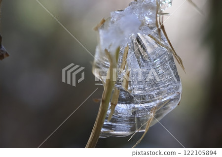 Korihana Korihana 122105894