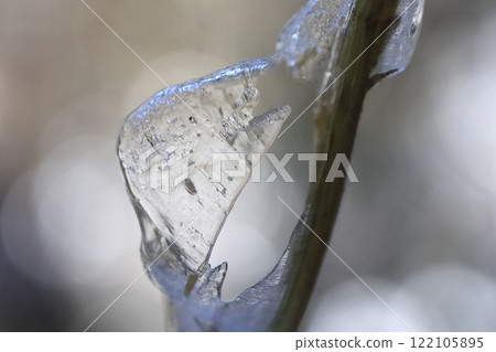 Glitter Glitter 122105895