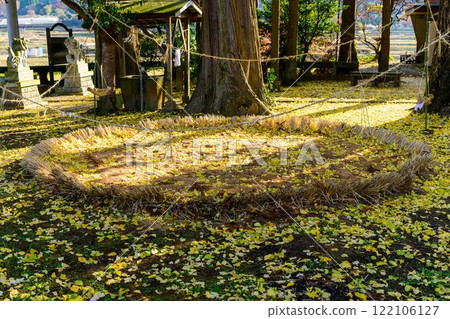 秋天的陽光和神社境內的風景、鶴之神社和銀杏“鶴之神社” 秋天的陽光和神社境內的風景、鶴之神社和銀杏“鶴之神社” 122106127