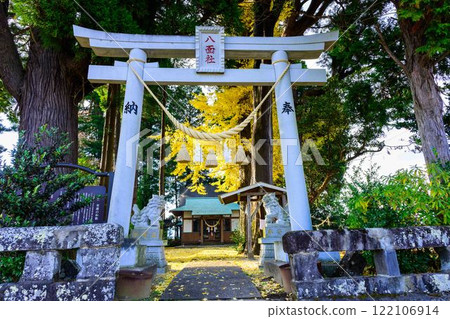 Torii gate, autumn scenery of the shrine and the light of the clear autumn sky, Hachimensha Shrine / Ichishimo Shrine (Minamiaso Village) 122106914