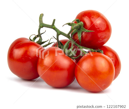 Tomatoes red branch plant isolated on the white background 122107902