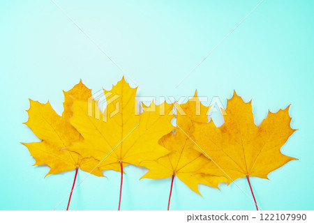 Beautiful bright orange autumn leaves on the blue background space for text 122107990