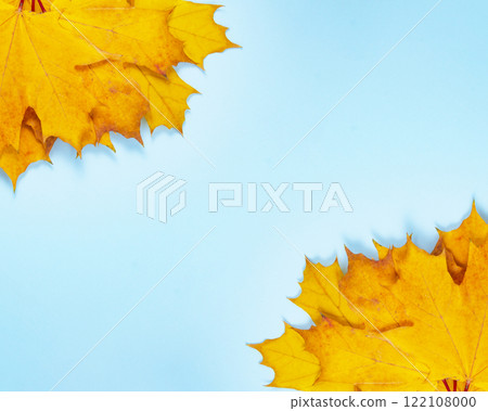 Beautiful bright orange autumn leaf on the blue background space for text Beautiful bright orange autumn leaf on the blue background space for text 122108000
