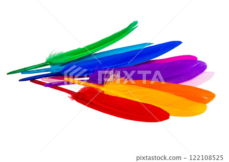 Multicolor feathers isolated on the white background 122108525